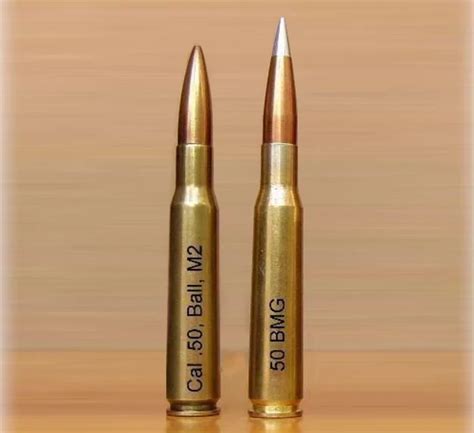 50 cal vs deer|50 bmg vs deer.